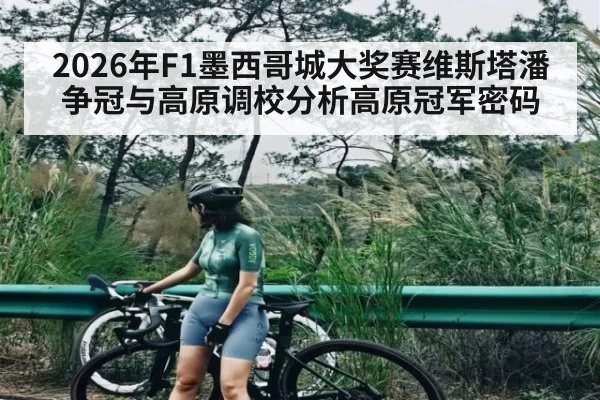 2026年F1墨西哥城大奖赛维斯塔潘争冠与高原调校分析高原冠军密码